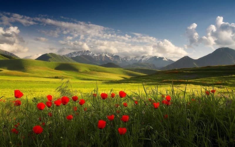 Blooming valleys, fresh mountain air and peaceful trails.